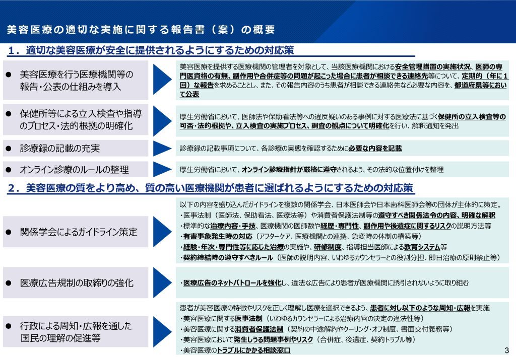 図8 美容医療の適切な実施に関する報告書（案）の概要